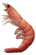 shrimp