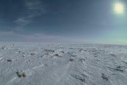 Arctic National Wildlife Refuge 