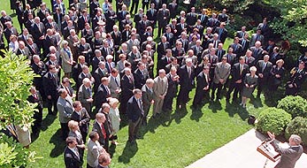 Organgutans may vanish in ten years, study says 