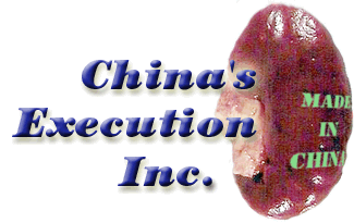 China's Execution, Inc.