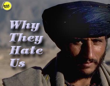Why They Hate Us