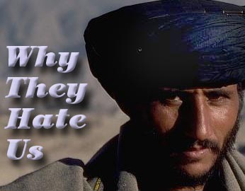 Why They Hate Us