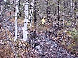 (Photos courtesy Alyeska Pipeline Service Company)