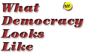 Taiwan political protest