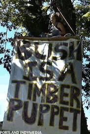 Bush protester