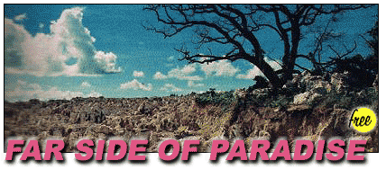 Nauru Island: Far Side Of Paradise