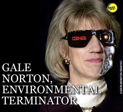 Gale Norton