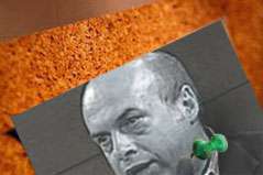 Sharansky pinup