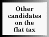 Other candidates on the flat tax