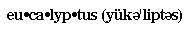 eu-ca-lyp-tus