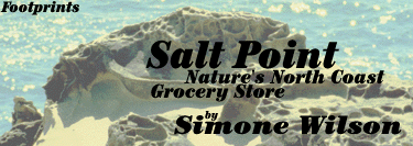 Nature's Grocery Store