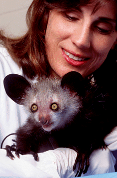 Marvin and Primate Center veterinarian Cathy Williams