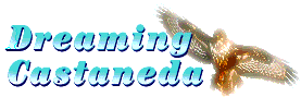 Dreaming Castaneda