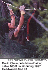 David Chain in 1997 treesit