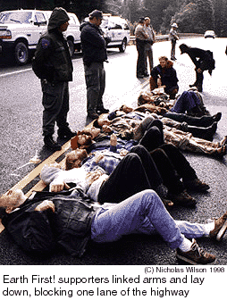 Observers lie down in road