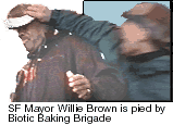 Willie Brown is pied