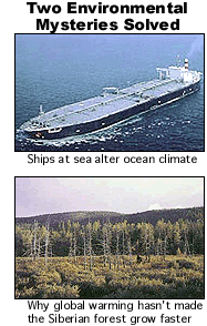 Two environmental mysteries solved