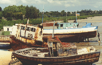 The fishing fleet