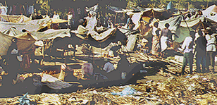 A large market place