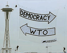 Rainforest Action Network banner