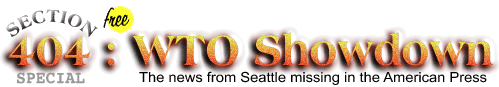 Section 404 Special: WTO