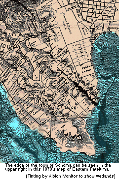 Wetlands east of Petaluma
