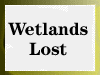 Wetlands Lost