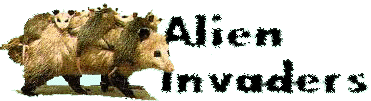  Alien Invaders: 